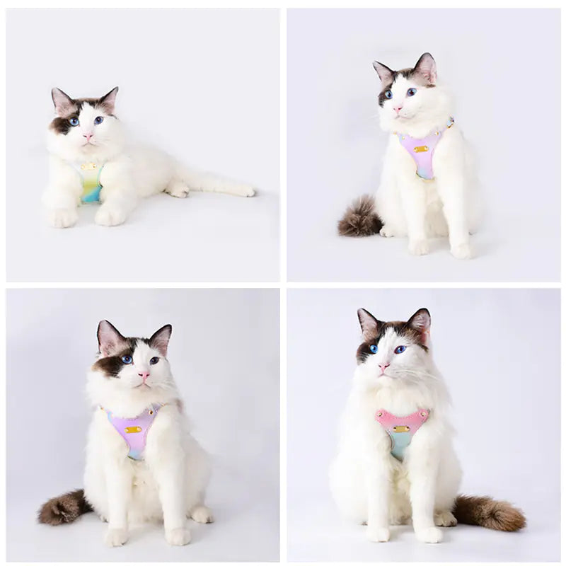 Adjustable Waterproof Leather Pet Harness for Small Dogs