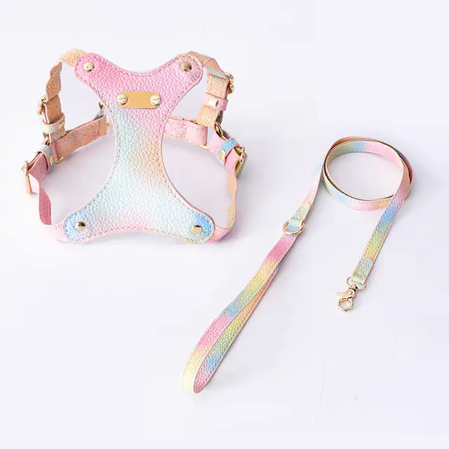 Adjustable Waterproof Leather Pet Harness for Small Dogs